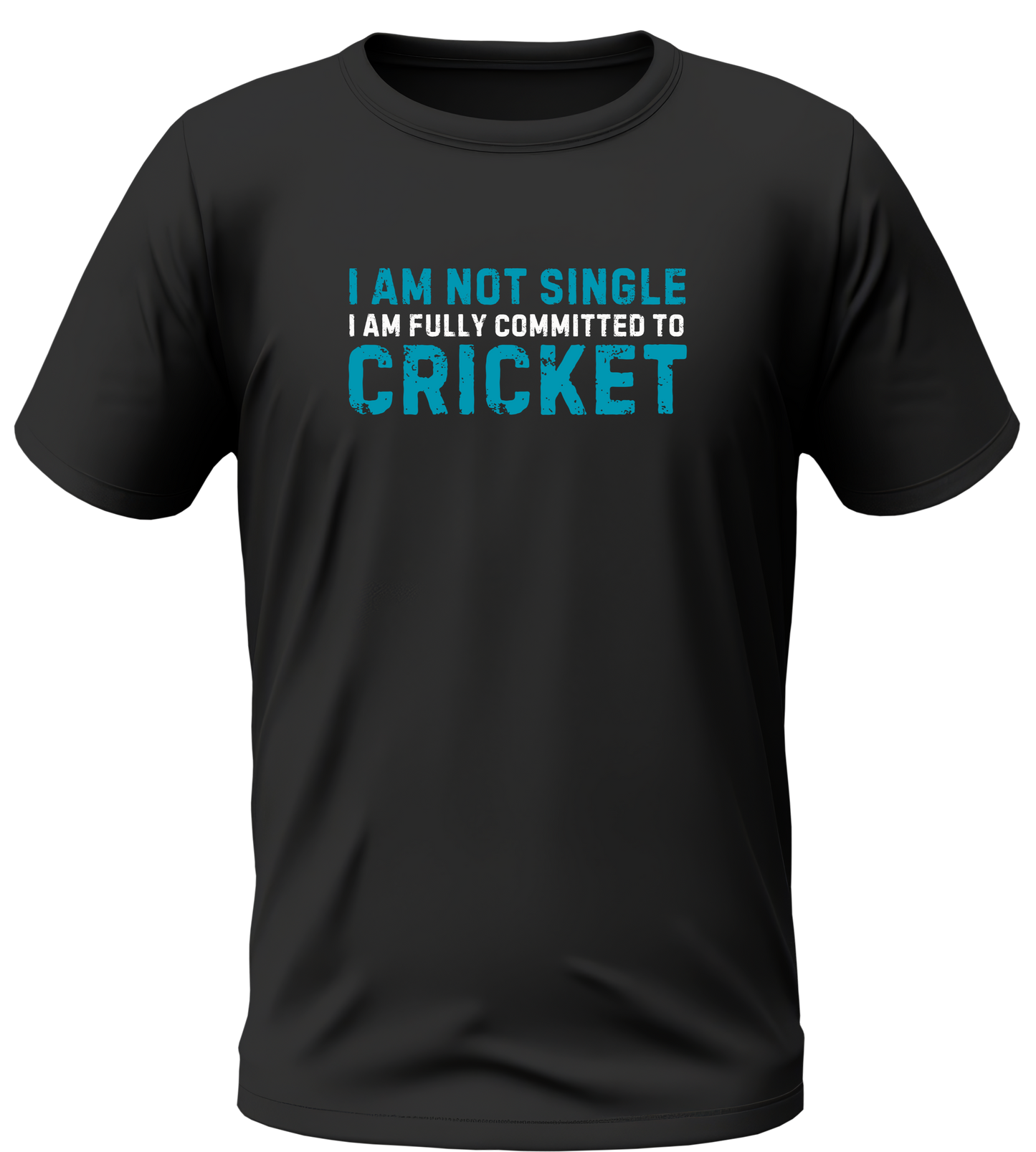 i love cricket  eat sleep cricket repeat  cricktovert  cricket world cup  cricket tshirt  cricket t shirt  cricket lover tshirt  cricket lover t shirt  cricket lover  cricket jersy  cricket is my love  cricket is my first love  cricket fan tshirt  cricket fan t shirt  cricket fan jersy  29 june 2024  19 november 2023