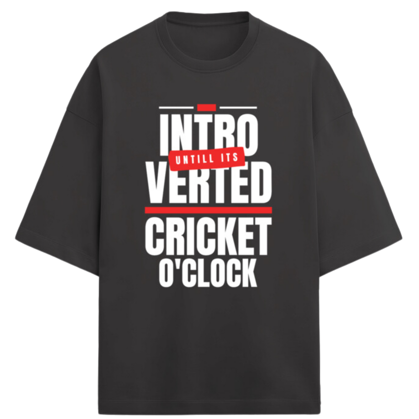 Cricket Tshirt | Cricket Lover Tshirt | Terry Oversized Unisex Tshirt